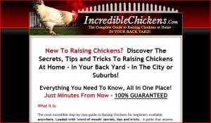incredible-chickens-home