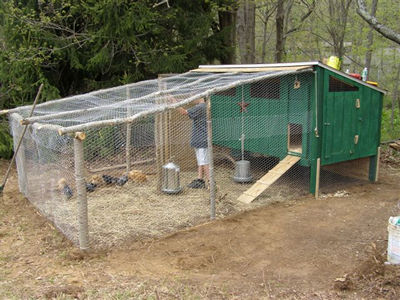 Chicken coop to build: Free chicken coop plans for 15 chickens