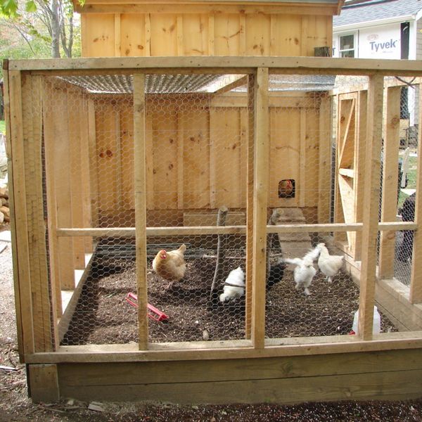 Building Backyard Chicken Coops » Blog Archive » Wooden Chicken Coops