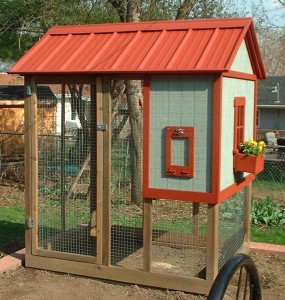 Building Backyard Chicken Coops Â» Blog Archive Â» Fancy 