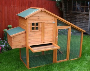 Chicken Coops