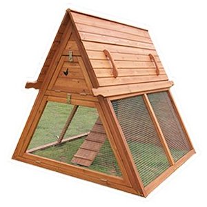 Chicken Coops for Traveling Chickens - Building Backyard Chicken 