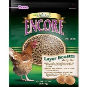 Chicken Feed – Chickens Like Variety Too!